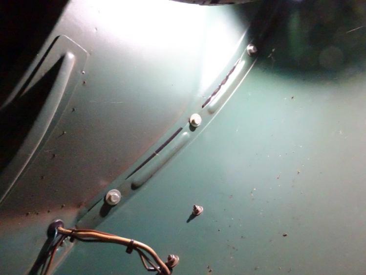 BUG WORKS,vw,���,�r�[�g��,1959,beetle